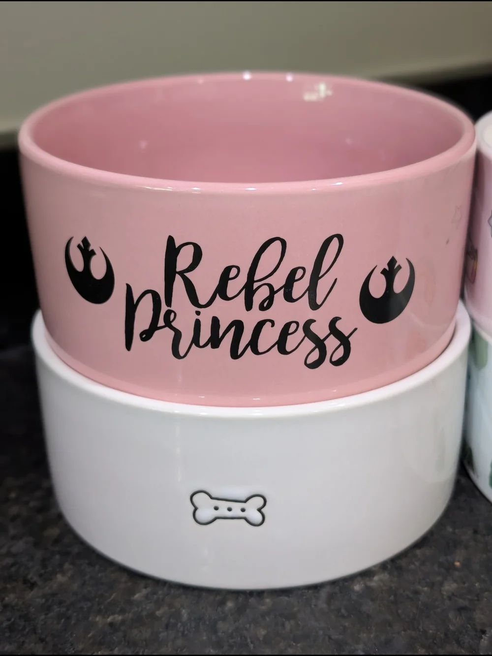 Choice Of One Dog Bowl